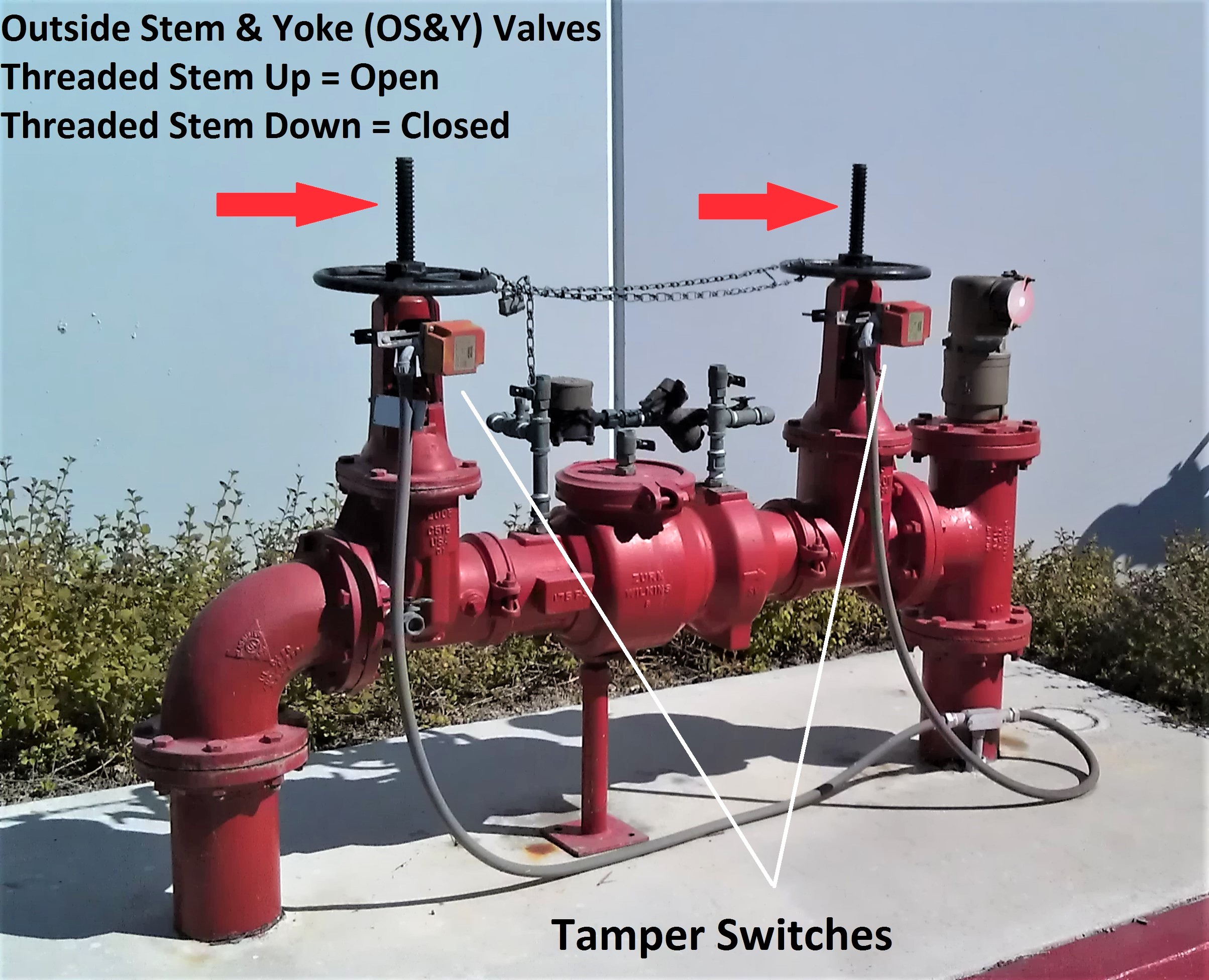 Fire Sprinkler System Backflow Preventers